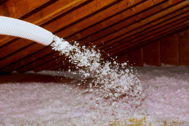 Best Affordable Insulation Services  in Hutchins, TX