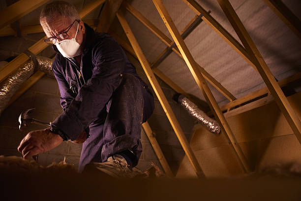 Best Insulation Replacement Services  in Hutchins, TX